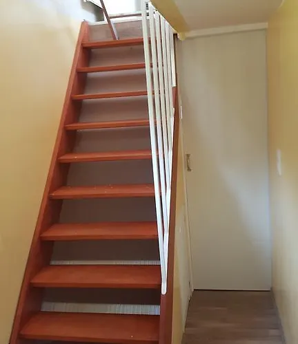 Sportboot Lorenzo Botel 3*