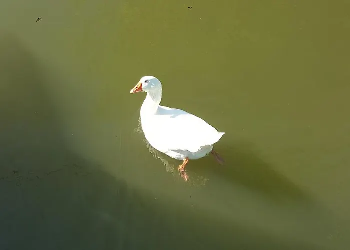 Botel Sportboot Lorenzo Bornheim (Rheinland)